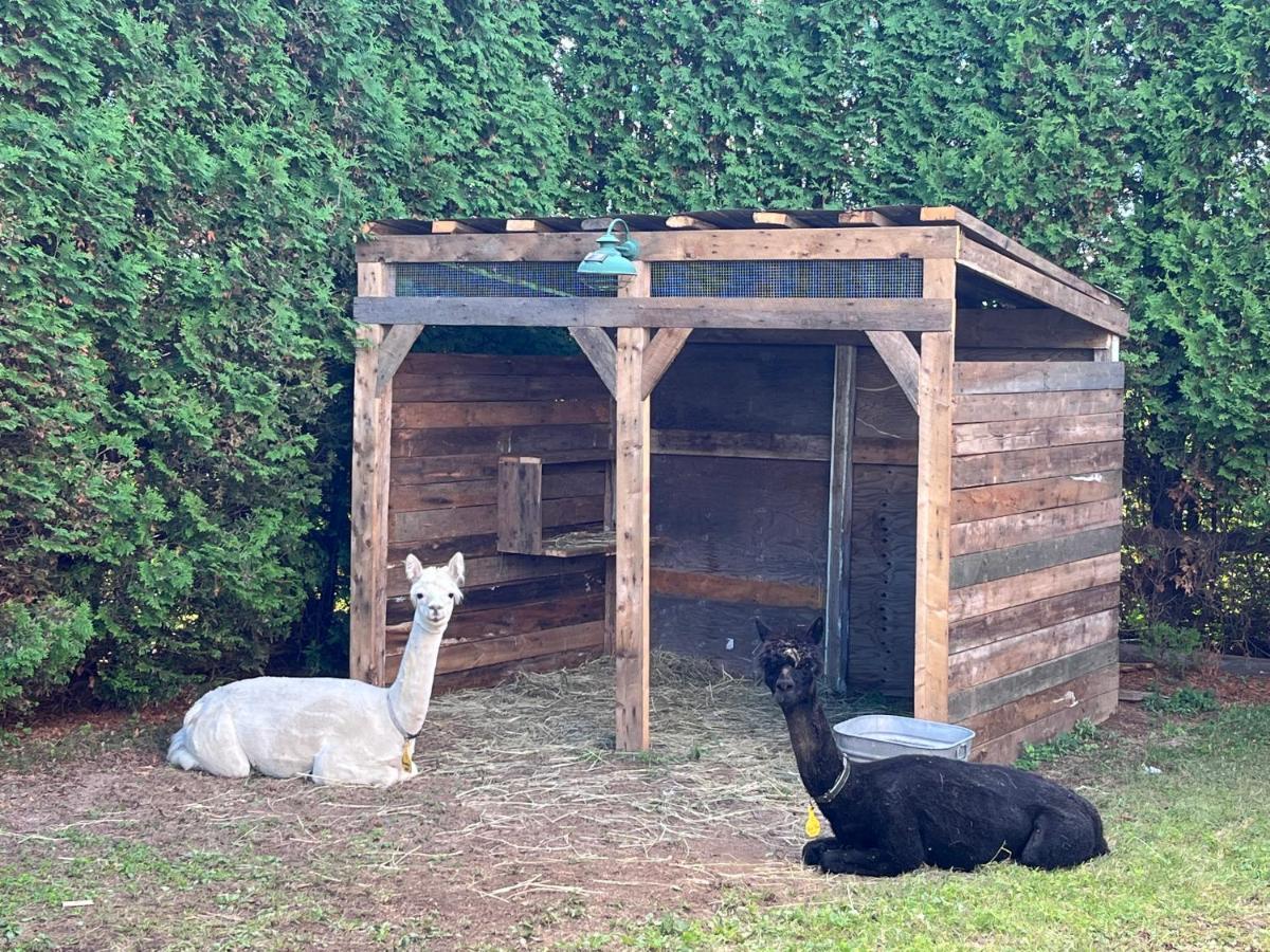 Gite - La Ruee Vers L'Orge Trois-Rivières Dış mekan fotoğraf